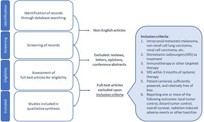 Optimizing the synergy between stereotactic radiosurgery and immunotherapy for brain metastases